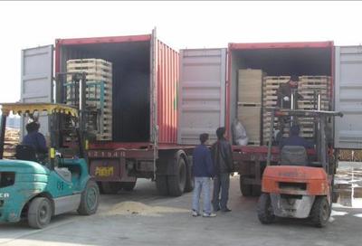 山東濟(jì)南濱州至江門新會(huì)開平內(nèi)貿(mào)海運(yùn)集裝箱物流服務(wù)詳解